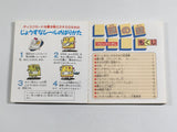 Nazo no Kabe Block Kuzushi Boxed Nintendo Famicom Disk Japan - DL6371