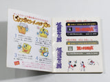 Nazo no Murasame Jo Boxed Nintendo Famicom Disk Japan - DL6377