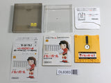 Volleyball Boxed Nintendo Famicom Disk Japan - DL6383