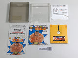 Pro Wrestling Boxed Nintendo Famicom Disk Japan - DL6388