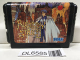 Phantasy Star 2 SEGA MegaDrive Genesis Japan - DL6585