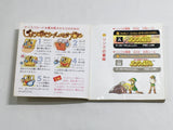 The Legend Of Zelda 2 Boxed Nintendo Famicom Disk Japan - DL6695