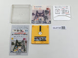 Shin Onigashima 2 Nintendo Famicom Disk Japan - DL6738