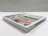 New Painting Class Boxed Nintendo 3DS Japan - DL6855