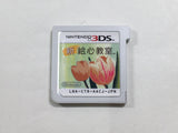 New Painting Class Boxed Nintendo 3DS Japan - DL6855