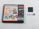 Tomodachi Collection Boxed Nintendo DS Japan - DL6903