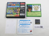 Inazuma Eleven 3 Spark Boxed Nintendo DS Japan - DL6906