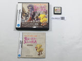 Final Fantasy Fables Chocobo Tales Boxed Nintendo DS Japan - DL6922