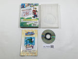 Super Mario Sunshine Nintendo GameCube Japan - DL7003