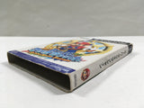 Super Mario Sunshine Nintendo GameCube Japan - DL7003