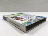 Super Mario Sunshine Nintendo GameCube Japan - DL7003