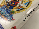 Super Mario Sunshine Nintendo GameCube Japan - DL7003