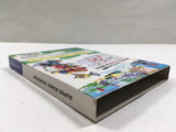 Super Mario Sunshine Nintendo GameCube Japan - DL7006