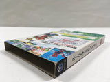 Super Mario Sunshine Nintendo GameCube Japan - DL7006