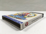 Super Mario Sunshine Nintendo GameCube Japan - DL7007