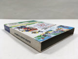 Super Mario Sunshine Nintendo GameCube Japan - DL7007