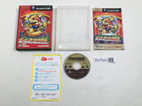 Paper Mario The Thousand Year Door Nintendo GameCube Japan - DL7024