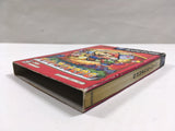Paper Mario The Thousand Year Door Nintendo GameCube Japan - DL7024