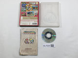 Paper Mario The Thousand Year Door Nintendo GameCube Japan - DL7025