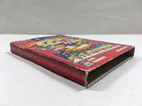 Paper Mario The Thousand Year Door Nintendo GameCube Japan - DL7025