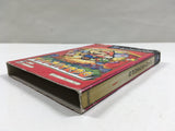 Paper Mario The Thousand Year Door Nintendo GameCube Japan - DL7025