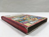 Paper Mario The Thousand Year Door Nintendo GameCube Japan - DL7025