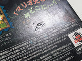 Luigi's Mansion Nintendo GameCube Japan - DL7031
