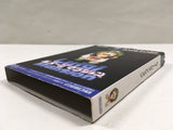 Luigi's Mansion Nintendo GameCube Japan - DL7034