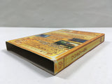 Wario World Nintendo GameCube Japan - DL7035