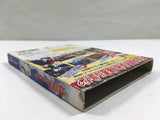 Naruto Clash of Ninja Gekitou Ninja Taisen Nintendo GameCube Japan - DL7041