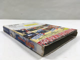 Naruto Clash of Ninja Gekitou Ninja Taisen Nintendo GameCube Japan - DL7043