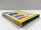 Pokemon Channel Expansion pack Nintendo GameCube Japan - DL7064