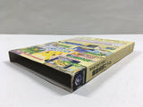 Pokemon Channel Expansion pack Nintendo GameCube Japan - DL7064