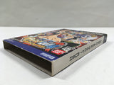 One Piece Grand Battle! Rush Nintendo GameCube Japan - DL7065