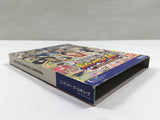 One Piece Pirates' Carnival Nintendo GameCube Japan - DL7070