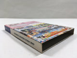 One Piece Pirates' Carnival Nintendo GameCube Japan - DL7070