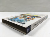 Final Fantasy Crystal Chronicles Nintendo GameCube Japan - DL7084