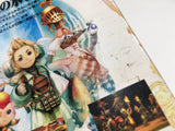 Final Fantasy Crystal Chronicles Nintendo GameCube Japan - DL7084