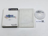 Final Fantasy Crystal Chronicles Nintendo GameCube Japan - DL7085