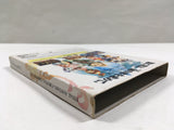 Final Fantasy Crystal Chronicles Nintendo GameCube Japan - DL7085