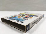 Final Fantasy Crystal Chronicles Nintendo GameCube Japan - DL7085