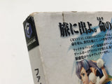 Final Fantasy Crystal Chronicles Nintendo GameCube Japan - DL7085