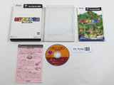 GiFTPiA Nintendo GameCube Japan - DL7096