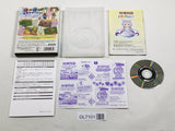 Harvest Moon Magical Melody Shiawase No Uta Nintendo GameCube Japan - DL7101