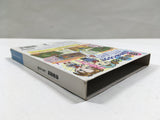 Harvest Moon Magical Melody Shiawase No Uta Nintendo GameCube Japan - DL7101