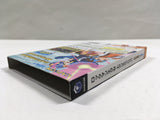 Mega Man Network Transmission Rockman EXE Nintendo GameCube Japan - DL7104