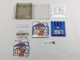 Golf Japan Course Boxed Nintendo Famicom Disk Japan - DL7148