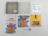 Pro Wrestling Boxed Nintendo Famicom Disk Japan - DL7161