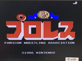 Pro Wrestling Nintendo Famicom Disk Japan - DL7248