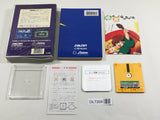 Adian no Tsue Boxed Nintendo Famicom Disk Japan - DL7268